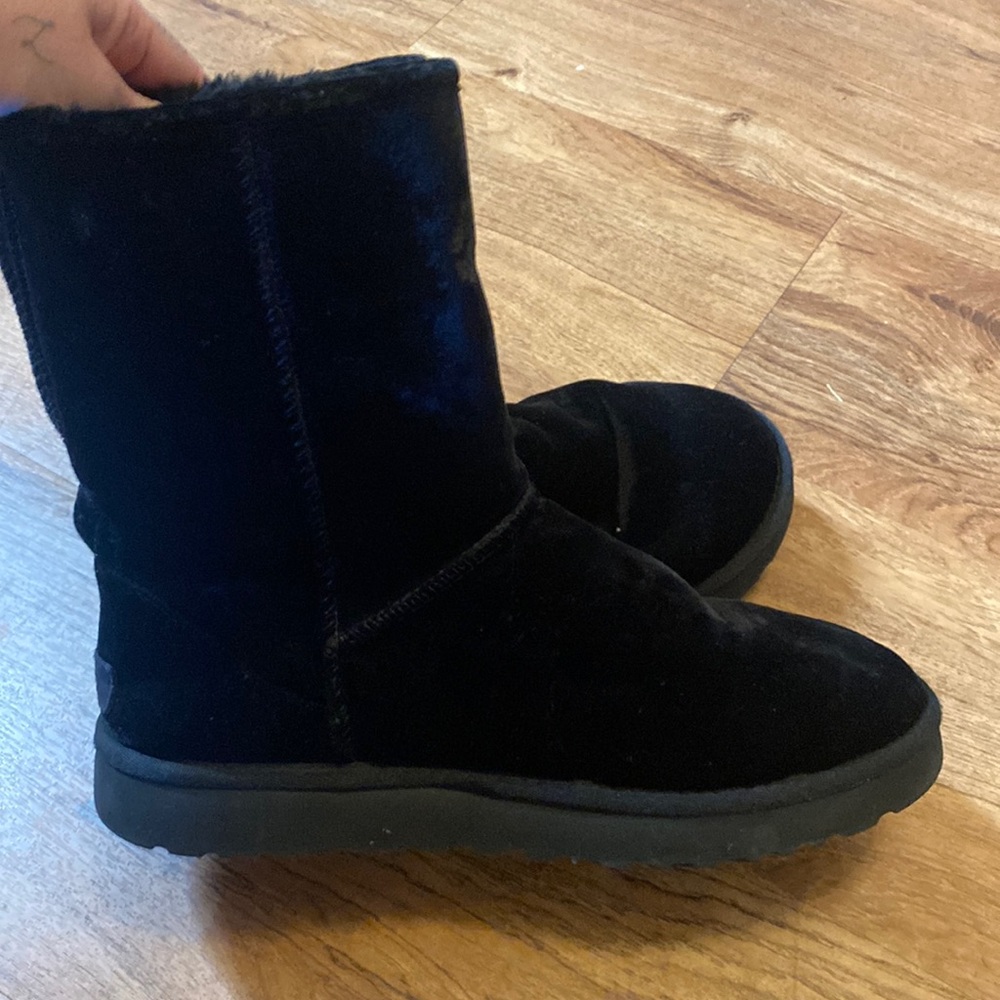 Black Velvet Uggs